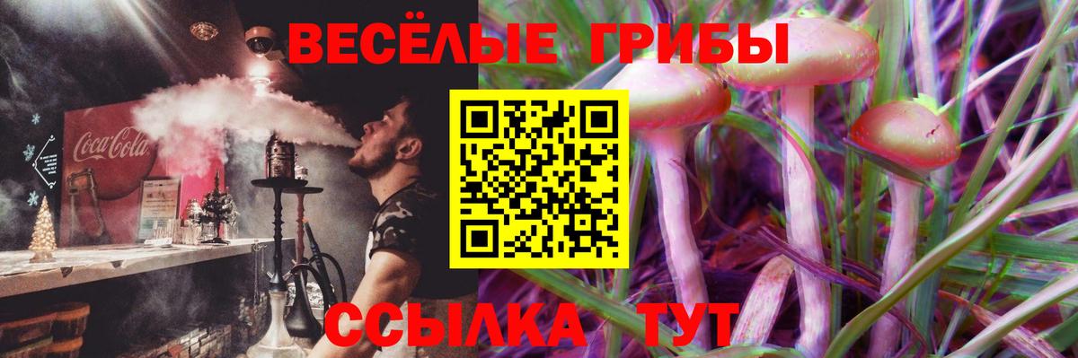 Псилоцибиновые грибы мицелий Видное