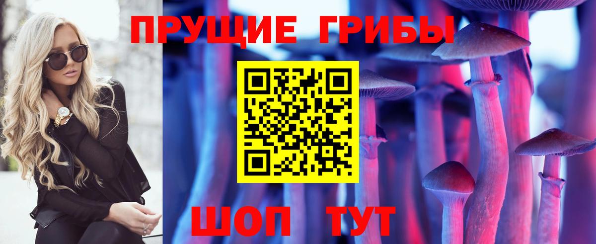 Видное  Галлюциногенные грибы Psilocybine cubensis  Вход с VPN  Псилоцибиновые грибы GOLDEN TEACHER 